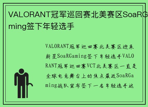 VALORANT冠军巡回赛北美赛区SoaRGaming签下年轻选手